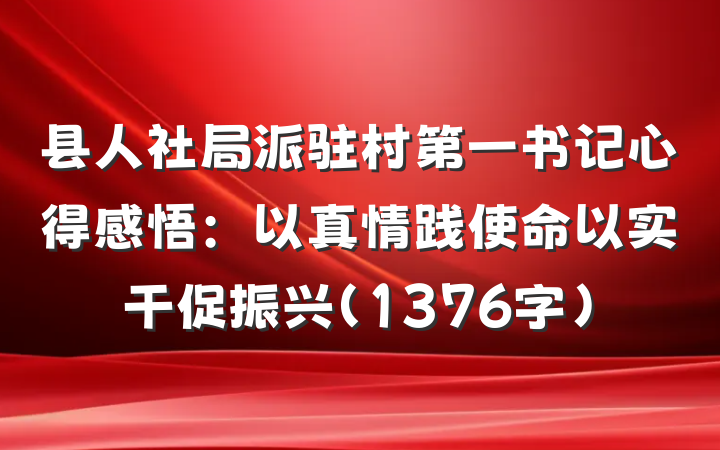 县人社局派驻村第一书记心得感悟：以真情践使命以实干促振兴（1376字）