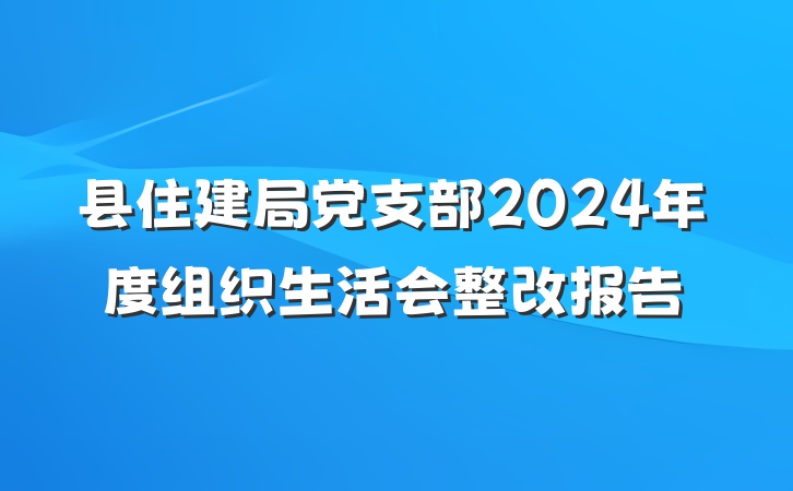 县住建局党支部2024年度组织生活会整改报告
