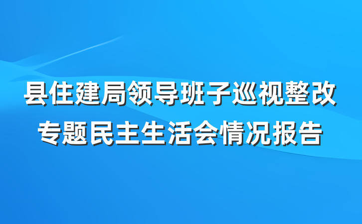 县住建局领导班子巡视整改专题民主生活会情况报告