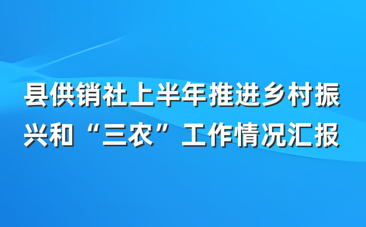 县供销社上半年推进乡村振兴和“三农”工作情况汇报