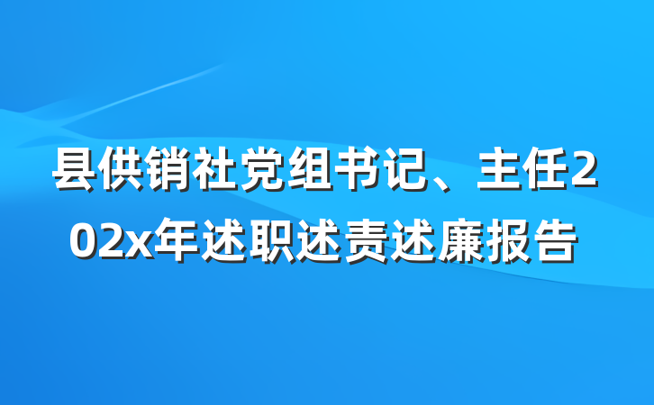 县供销社党组书记、主任202x年述职述责述廉报告