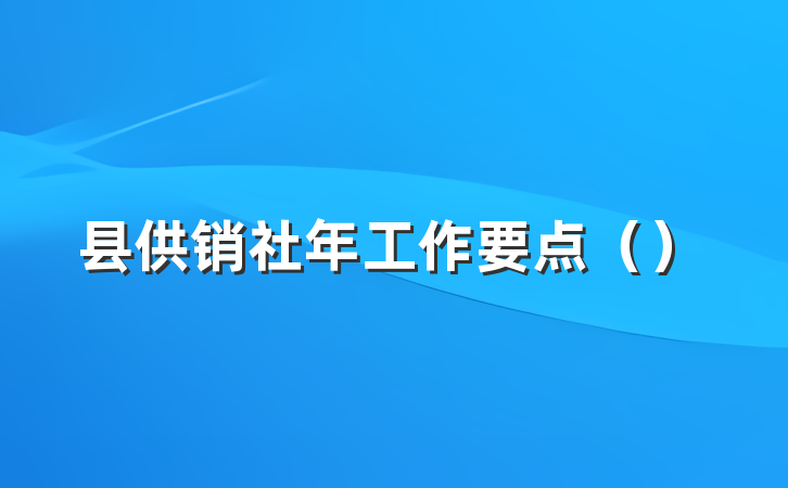 县供销社年工作要点（）