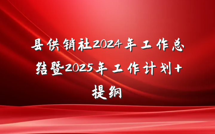 县供销社2024年工作总结暨2025年工作计划 提纲