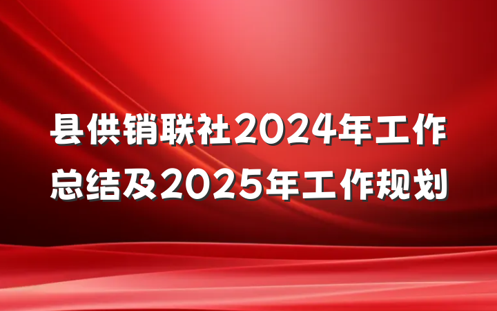 县供销联社2024年工作总结及2025年工作规划