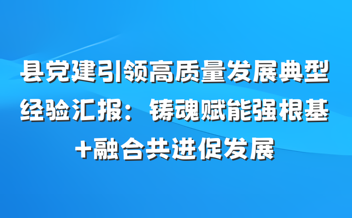 县党建引领高质量发展典型经验汇报：铸魂赋能强根基 融合共进促发展