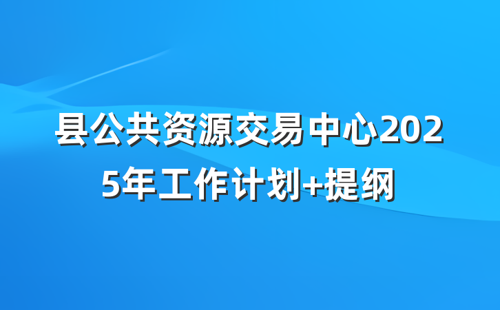 县公共资源交易中心2025年工作计划 提纲
