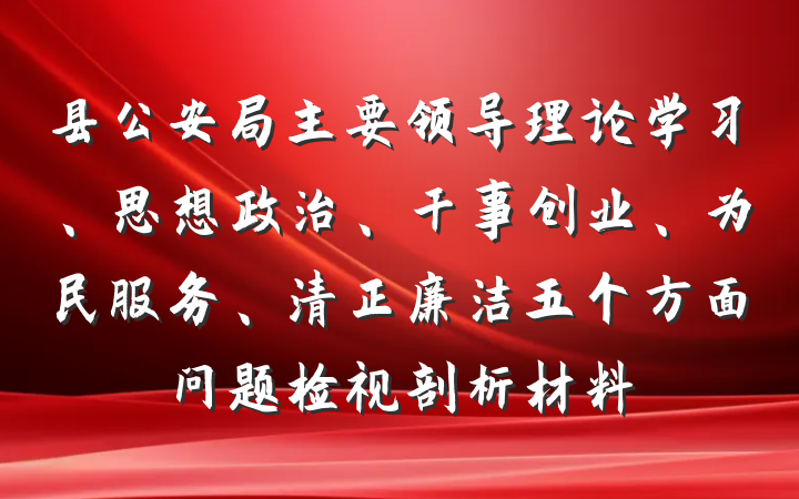 县公安局主要领导理论学习、思想政治、干事创业、为民服务、清正廉洁五个方面问题检视剖析材料