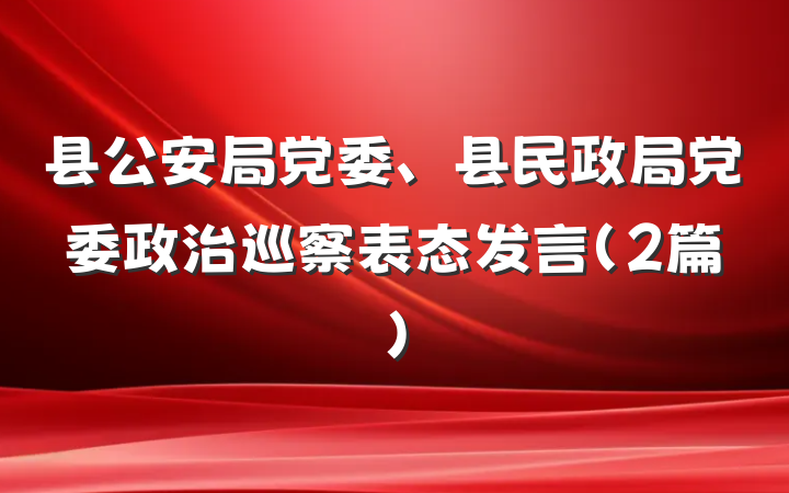 县公安局党委、县民政局党委政治巡察表态发言（2篇）