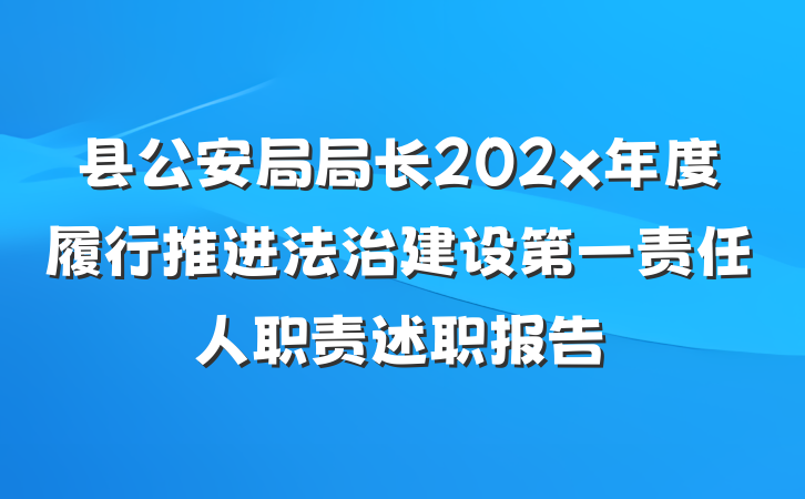 县公安局局长202x年度履行推进法治建设第一责任人职责述职报告
