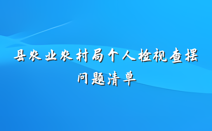 县农业农村局个人检视查摆问题清单