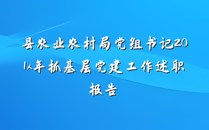 县农业农村局党组书记201x年抓基层党建工作述职报告