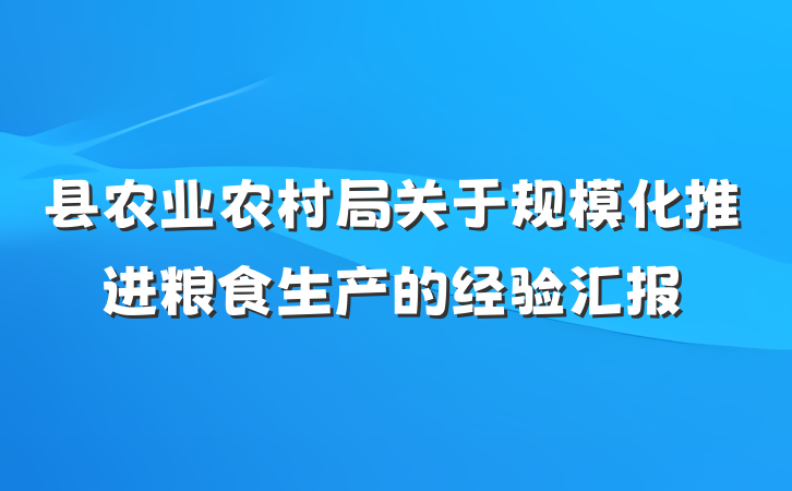 县农业农村局关于规模化推进粮食生产的经验汇报