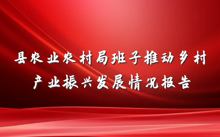 县农业农村局班子推动乡村产业振兴发展情况报告
