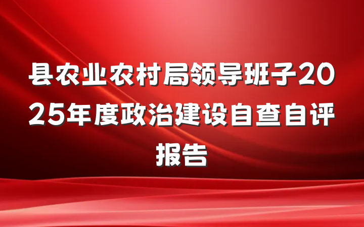 县农业农村局领导班子2025年度政治建设自查自评报告