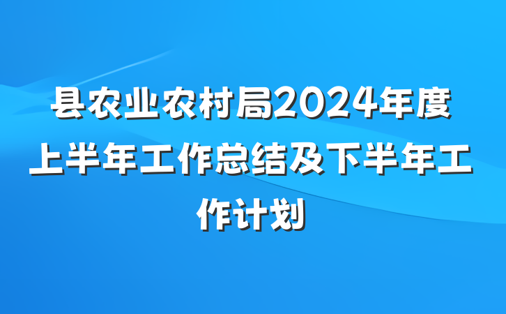 县农业农村局2024年度上半年工作总结及下半年工作计划