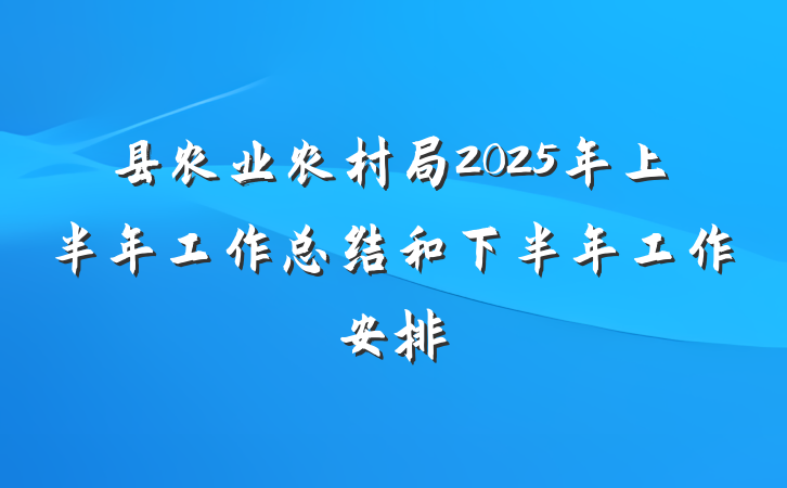 县农业农村局2025年上半年工作总结和下半年工作安排
