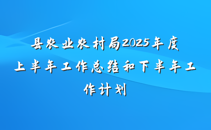 县农业农村局2025年度上半年工作总结和下半年工作计划