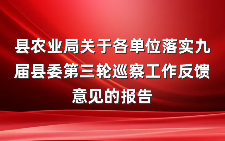 县农业局关于各单位落实九届县委第三轮巡察工作反馈意见的报告