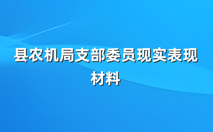 县农机局支部委员现实表现材料