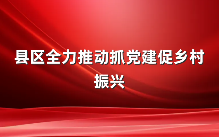 县区全力推动抓党建促乡村振兴