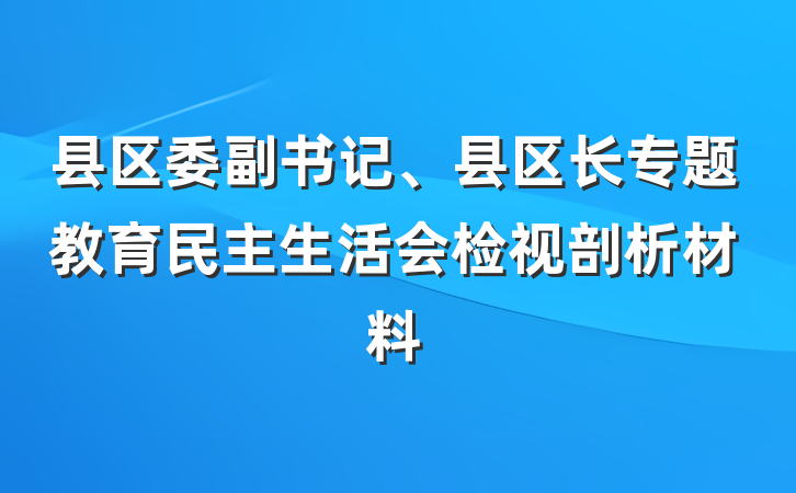 县区委副书记、县区长专题教育民主生活会检视剖析材料