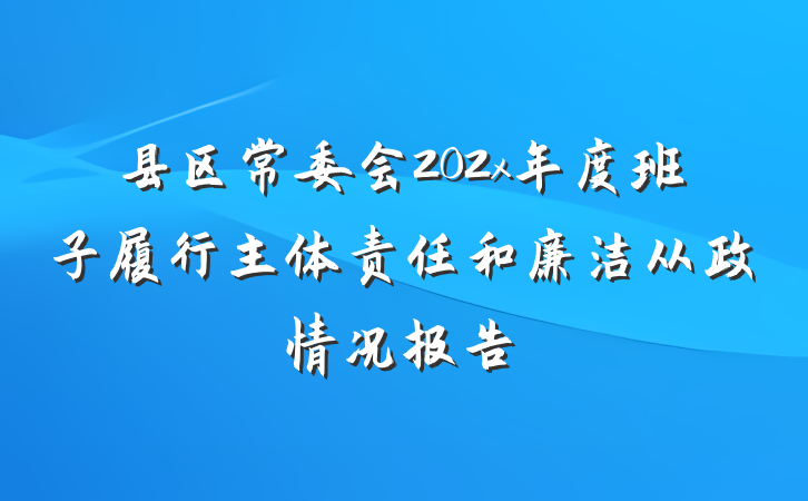 县区常委会202x年度班子履行主体责任和廉洁从政情况报告