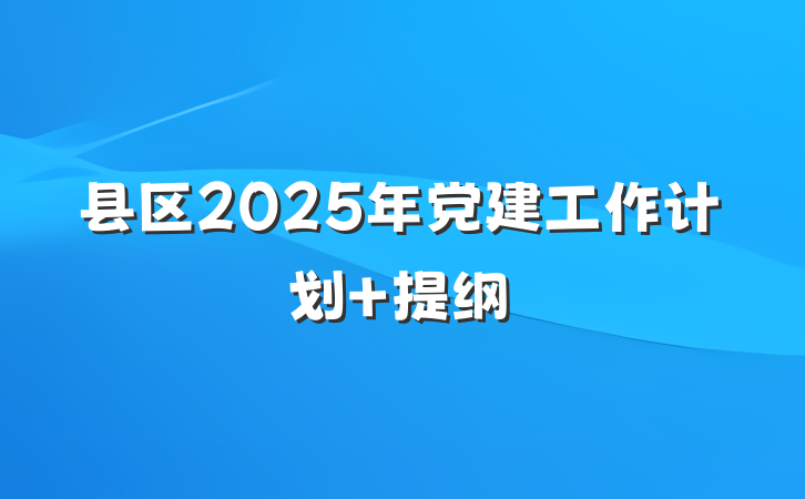 县区2025年党建工作计划 提纲