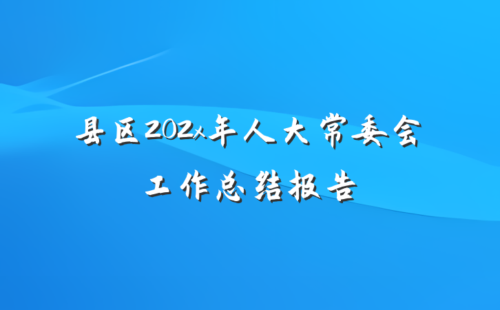 县区202x年人大常委会工作总结报告