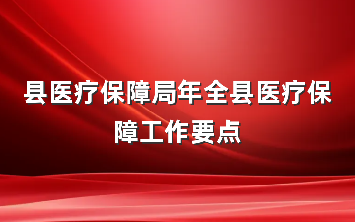 县医疗保障局年全县医疗保障工作要点