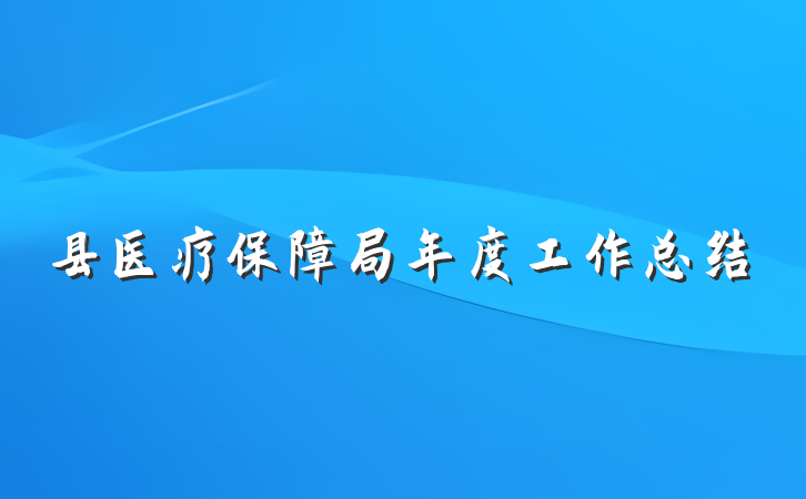 县医疗保障局年度工作总结
