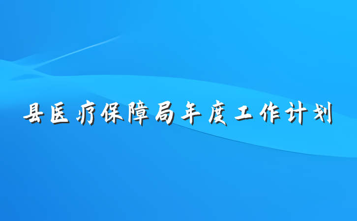 县医疗保障局年度工作计划