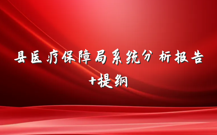 县医疗保障局系统分析报告 提纲