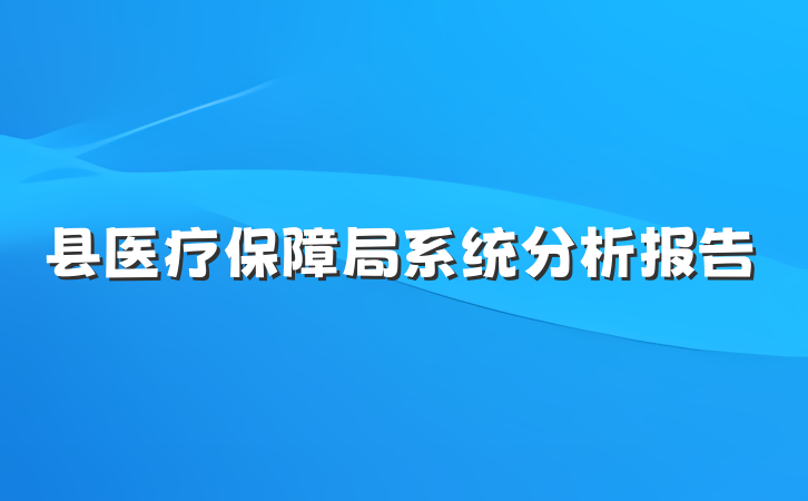 县医疗保障局系统分析报告