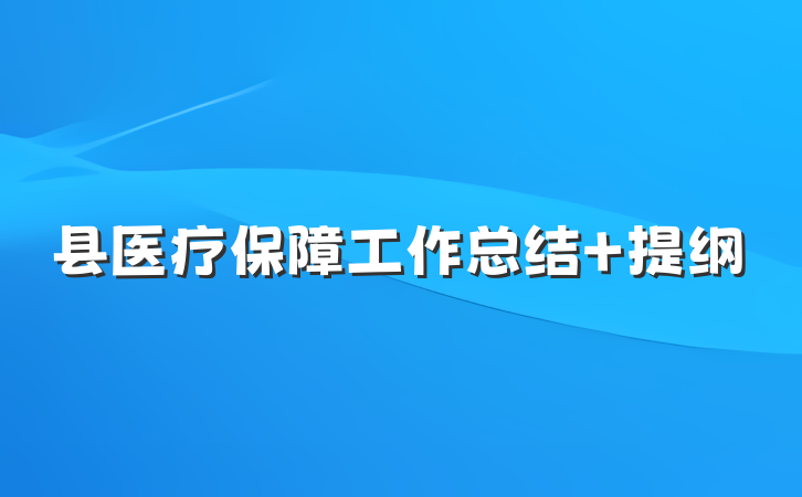 县医疗保障工作总结 提纲