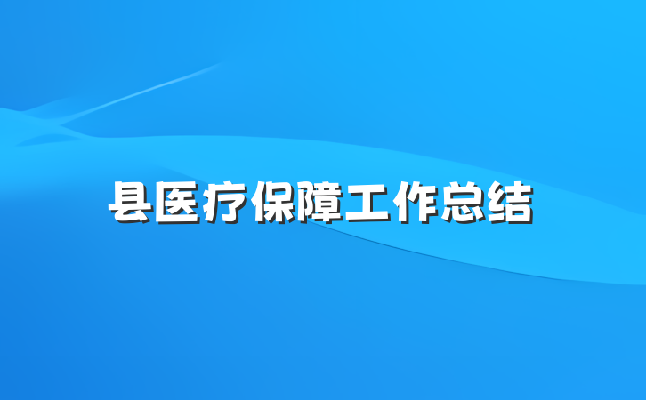 县医疗保障工作总结