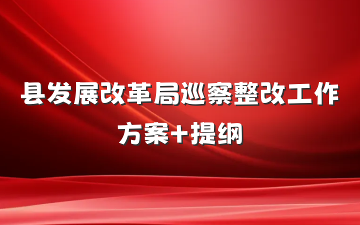 县发展改革局巡察整改工作方案 提纲