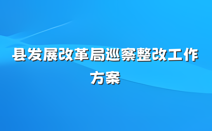 县发展改革局巡察整改工作方案