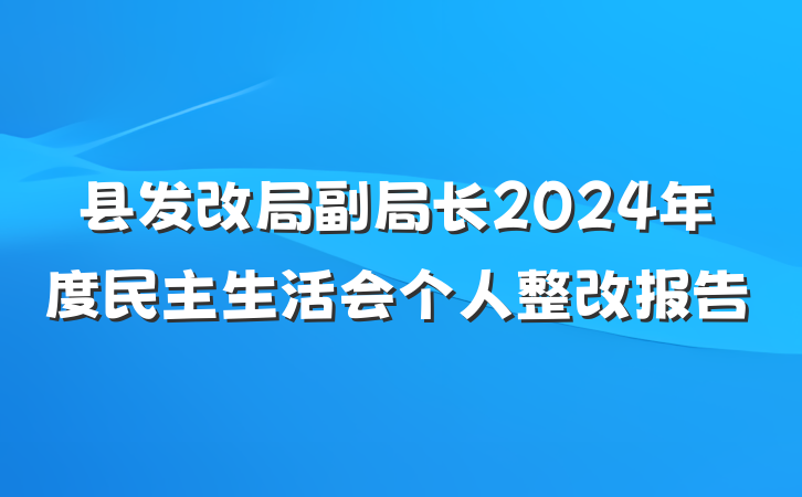 县发改局副局长2024年度民主生活会个人整改报告