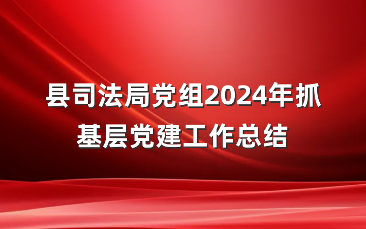 县司法局党组2024年抓基层党建工作总结