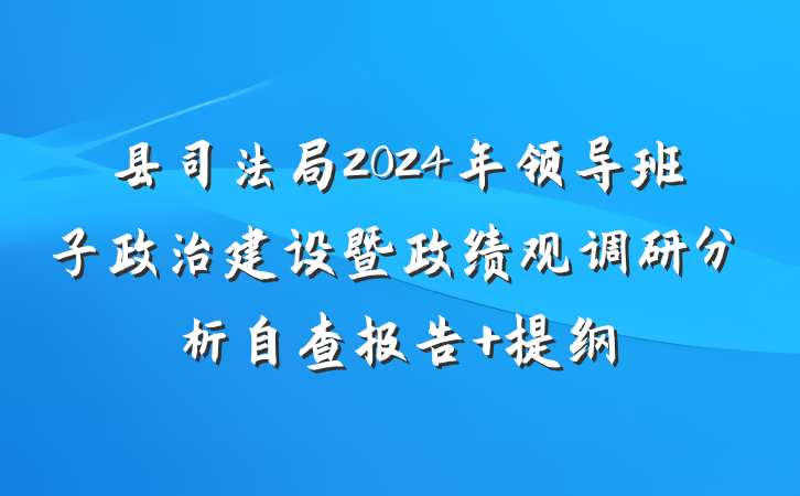 县司法局2024年领导班子政治建设暨政绩观调研分析自查报告 提纲