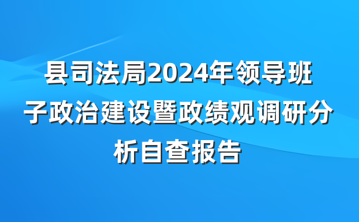 县司法局2024年领导班子政治建设暨政绩观调研分析自查报告