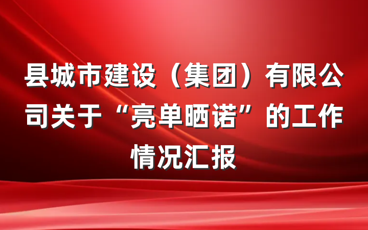 县城市建设(集团)有限公司关于“亮单晒诺”的工作情况汇报