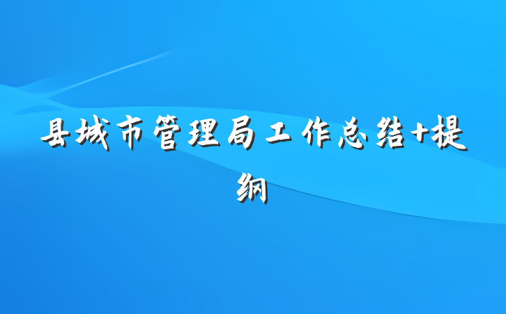 县城市管理局工作总结 提纲