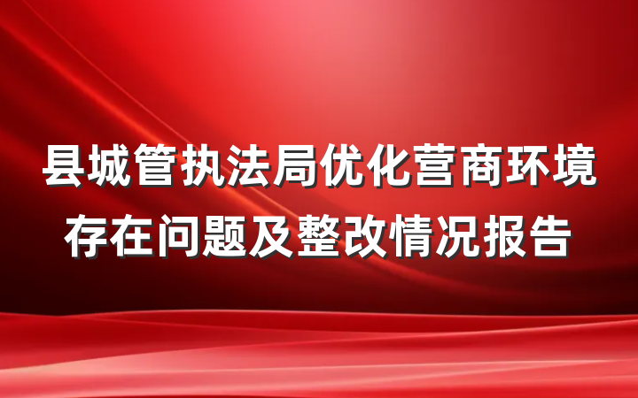 县城管执法局优化营商环境存在问题及整改情况报告