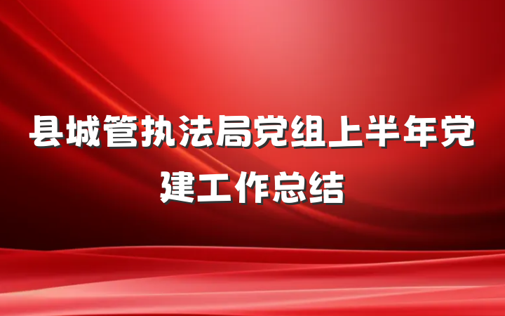 县城管执法局党组上半年党建工作总结