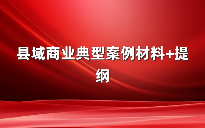 县域商业典型案例材料 提纲