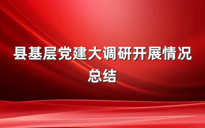 县基层党建大调研开展情况总结