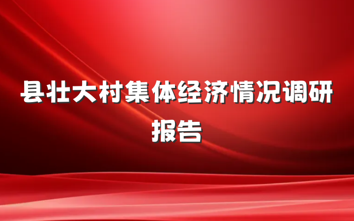 县壮大村集体经济情况调研报告