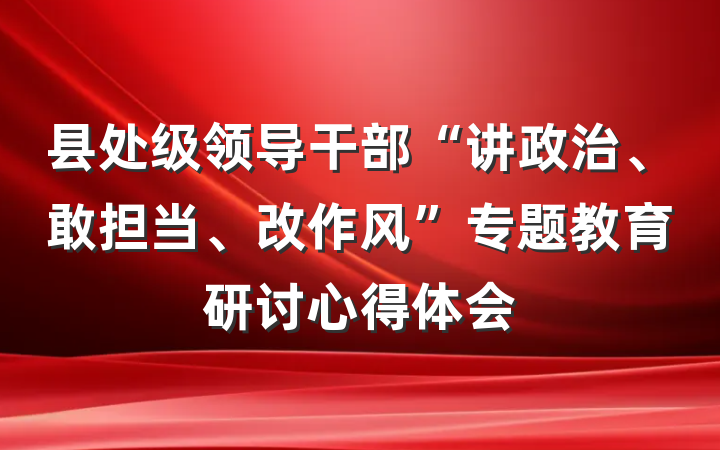 县处级领导干部“讲政治、敢担当、改作风”专题教育研讨心得体会