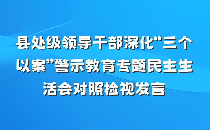县处级领导干部深化“三个以案”警示教育专题民主生活会对照检视发言